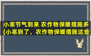 小寒节气到来 农作物保暖措施多(小寒到了，农作物保暖措施这些你需要知道！)